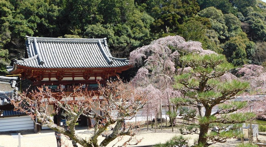 🏯 금강사 (콘고지) 이미지 8